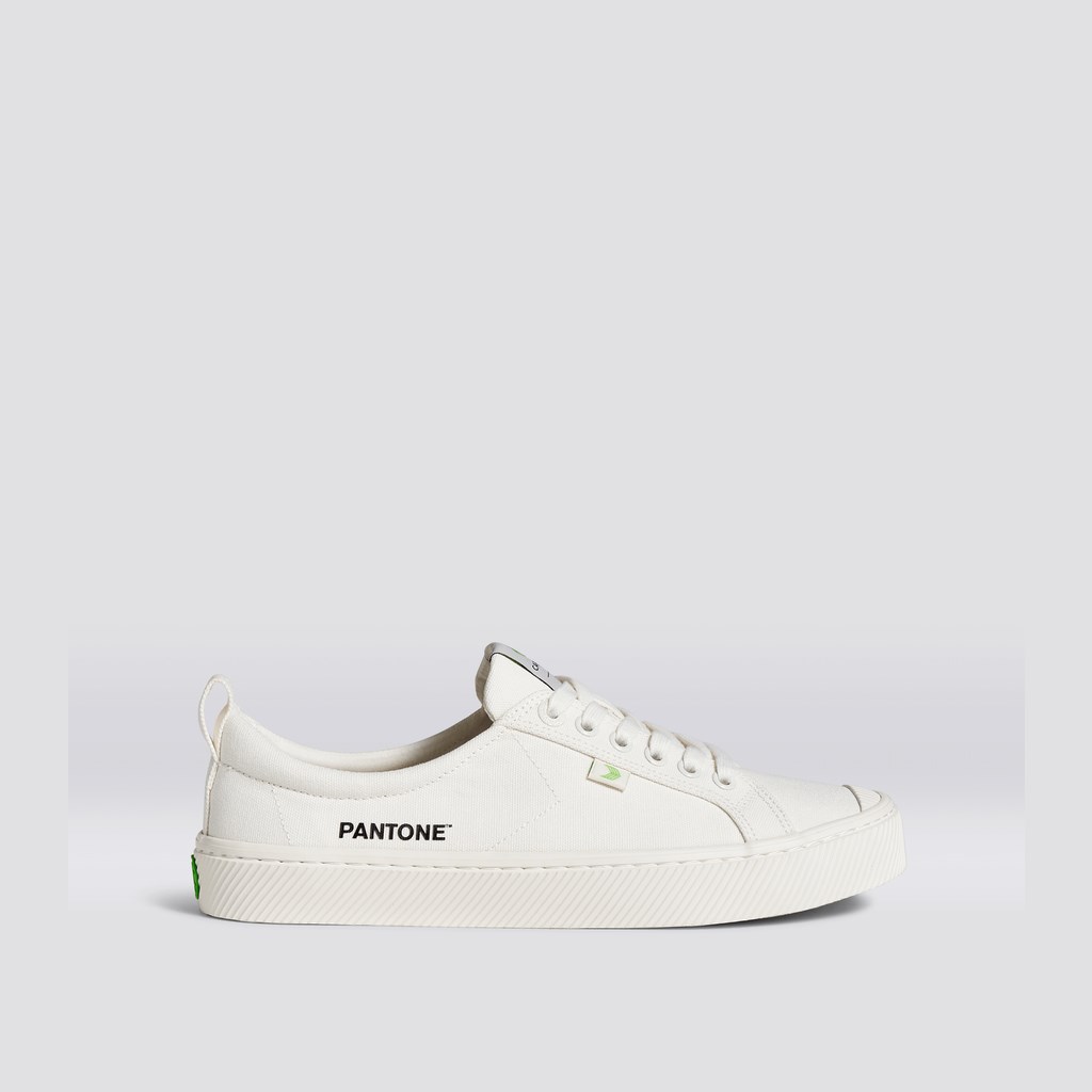 OCA LOW Cariuma Low Top Tela Blanche Homme | EFL-0250041